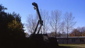 AssE GRÜ HALBTURN